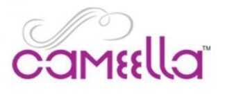 Best Digital Marketing Agency in Calicut